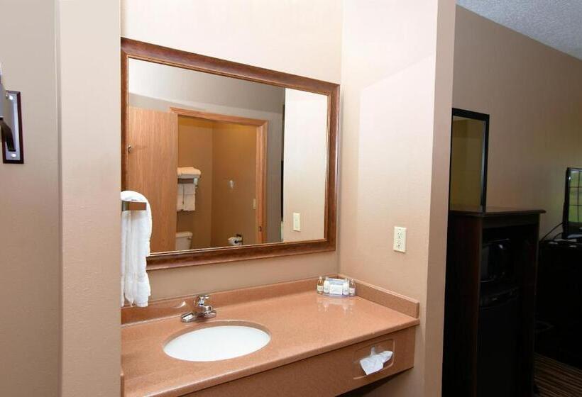 Стандартный Номер Кровать Кинг, Cobblestone Inn & Suites   Denison | Majestic Hills