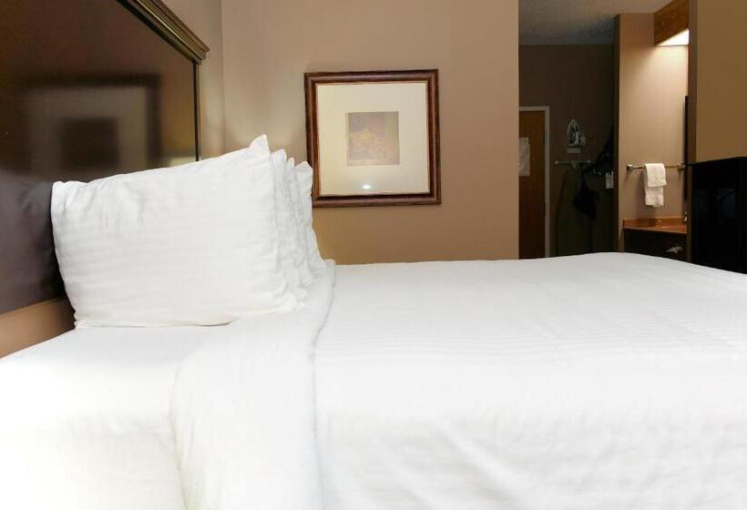 Стандартный Номер Кровать Кинг, Cobblestone Inn & Suites   Denison | Majestic Hills