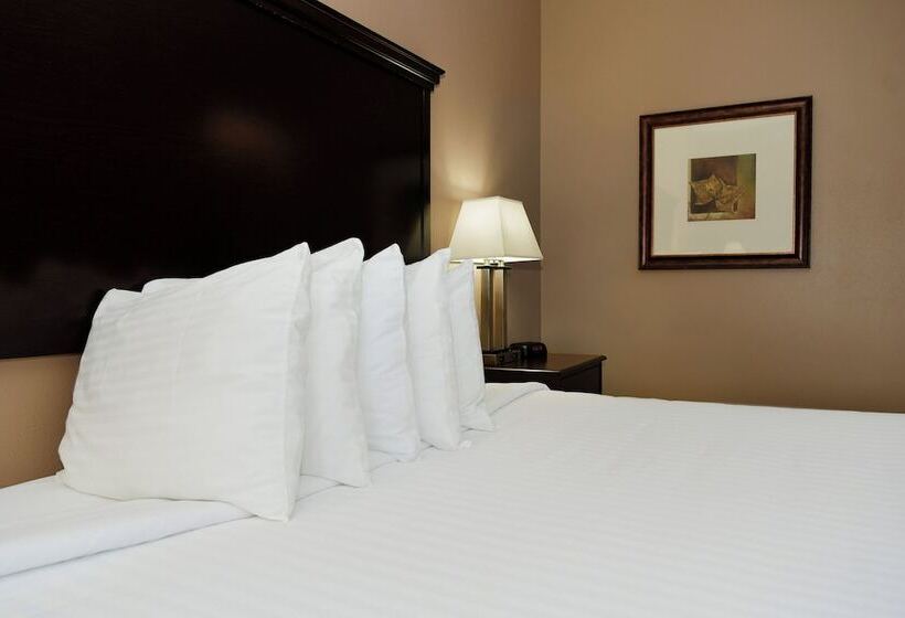 Номер Стандарт Кровать Кинг Адаптированный для Инвалидов, Cobblestone Inn & Suites   Denison | Majestic Hills