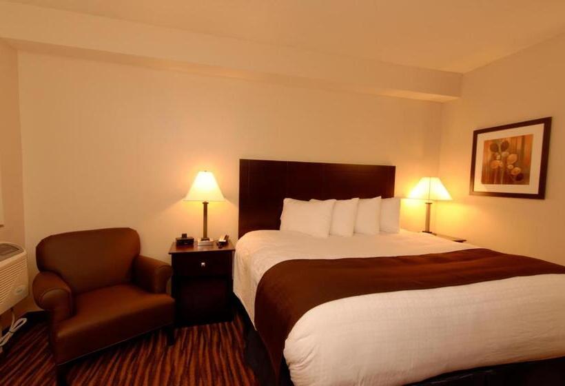 带大床的标准间, Cobblestone Inn & Suites  Fort Madison