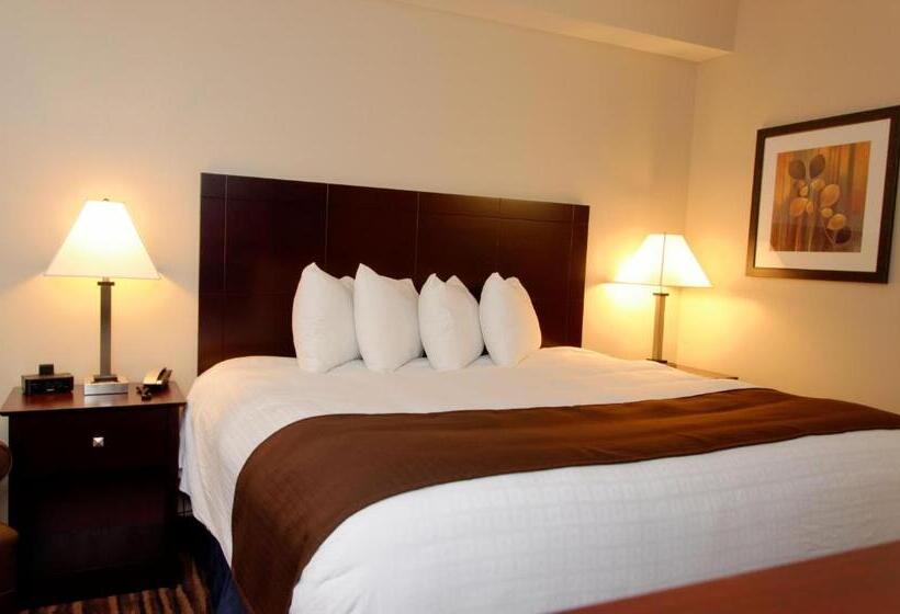 Номер Стандарт Кровать Кинг Адаптированный для Инвалидов, Cobblestone Inn & Suites  Fort Madison