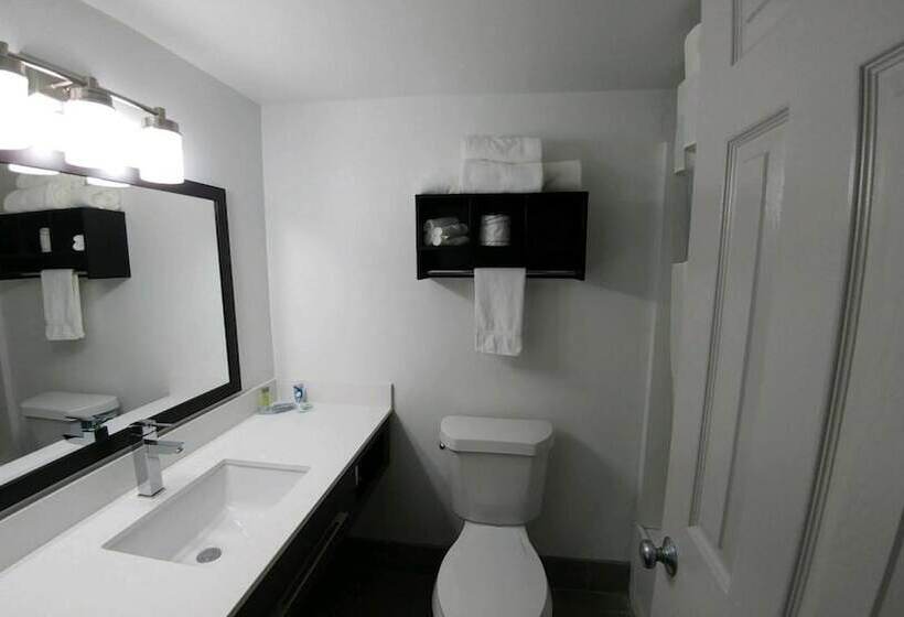Номер Стандарт, Garden City Inn