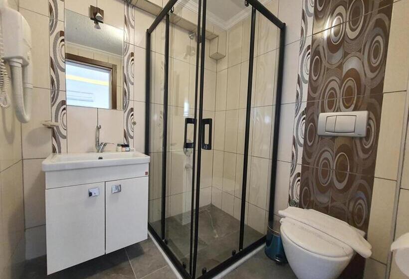 Полулюкс, Sapanca Aqua Wellness Spa