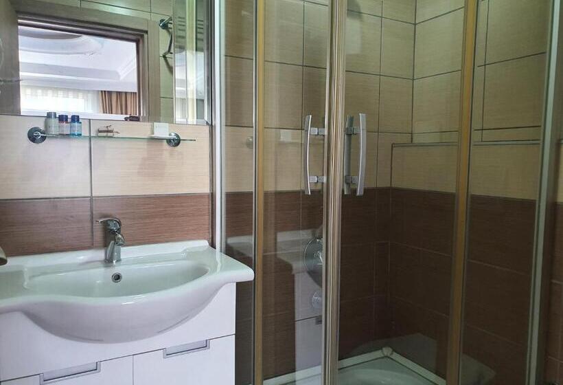 Номер Economy, Sapanca Aqua Wellness Spa