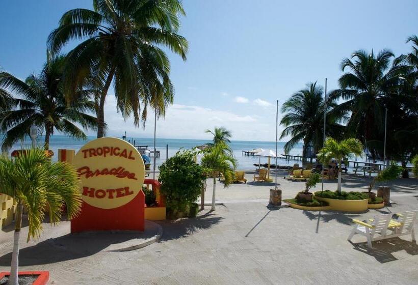 Suite, Tropical Paradise
