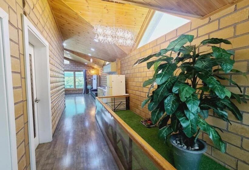 Номер Стандарт, Gapyeong Chorok Jeongwon Gyegok Dokchae Pension