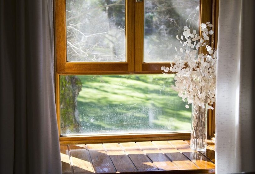 스탠다드 스튜디오, Rincón De Los Andes Resort