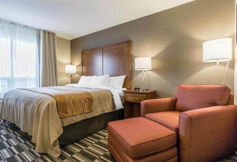 Стандартный Номер Кровать Кинг, Comfort Inn & Suites Edmonton International Airport
