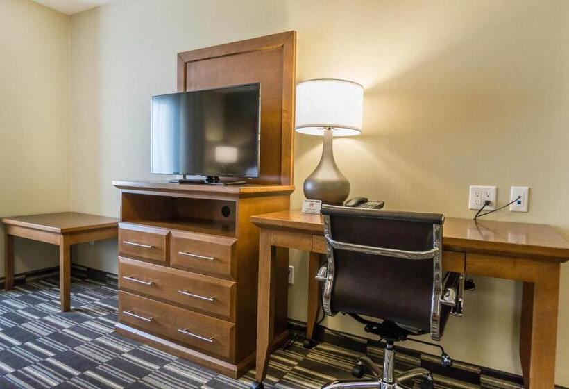 Номер Стандарт, Comfort Inn & Suites Edmonton International Airport