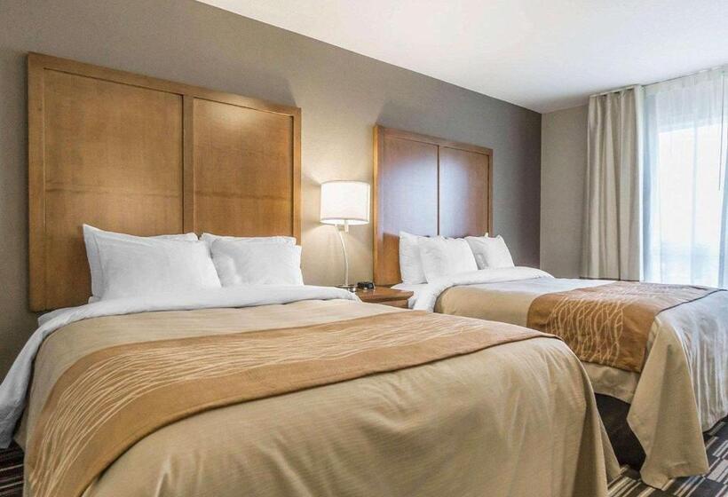 Номер Стандарт, Comfort Inn & Suites Edmonton International Airport