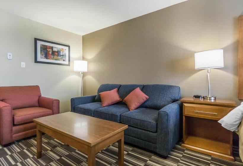 Президентский Люкс, Comfort Inn & Suites Edmonton International Airport