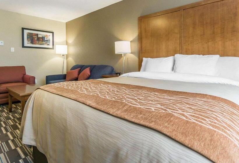 Президентский Люкс, Comfort Inn & Suites Edmonton International Airport