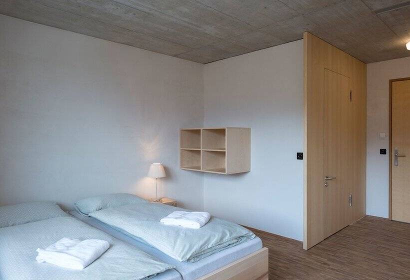 اتاق استاندارد یک نفره, Saanen Gstaad Youth Hostel