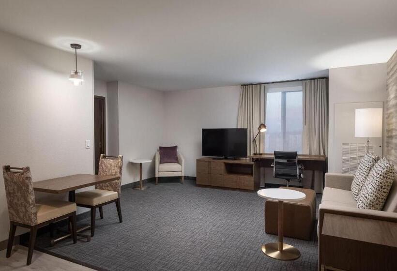 带大床的套房, Residence Inn By Marriott Denver Aurora