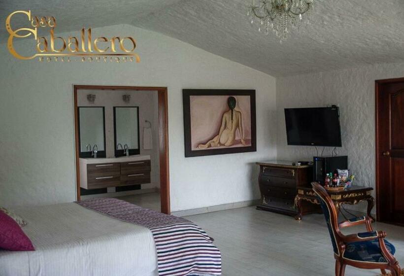 디럭스 스튜디오, Casa Caballero Hotel Boutique