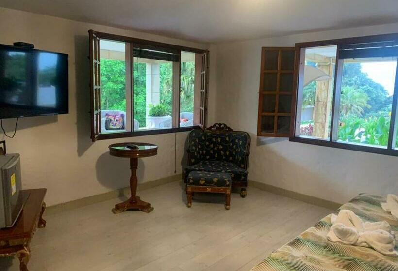 스탠다드 룸 킹사이즈 침대, Casa Caballero Hotel Boutique
