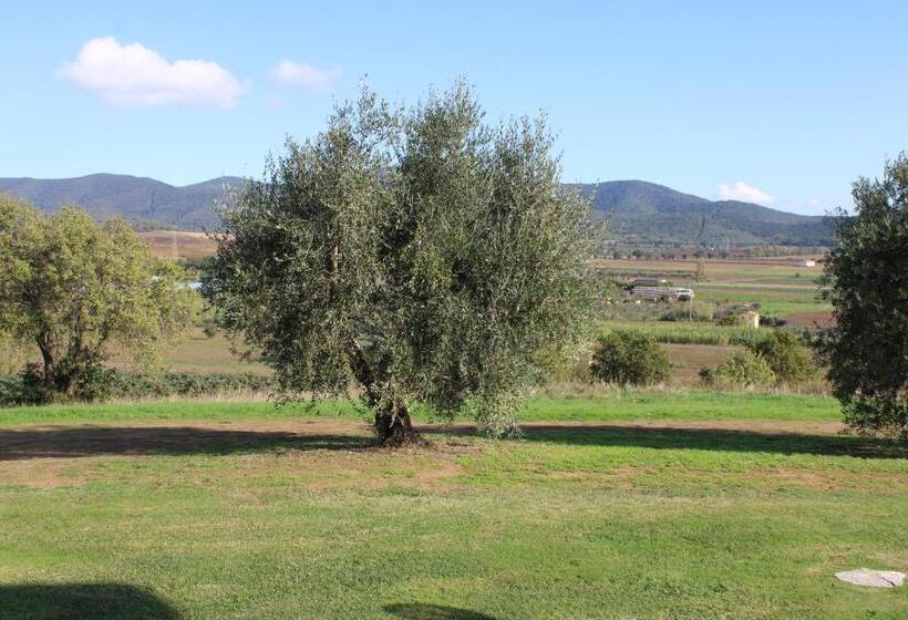 １階の１ベッドルームアパートメント, Agriturismo Il Montoto