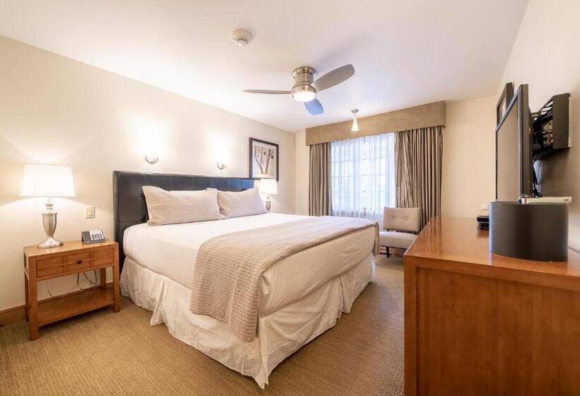 침실 1개 아파트, Lodge At Vail Condominiums
