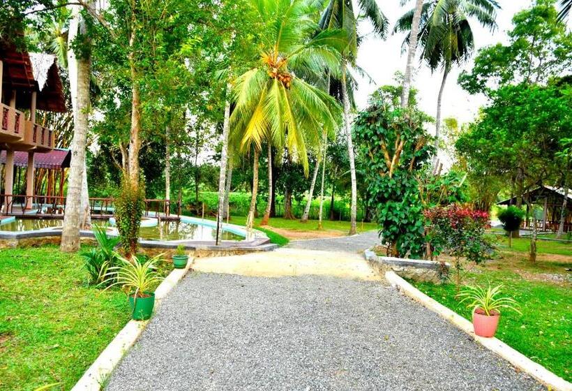 اتاق لوکس, Pelican Lake