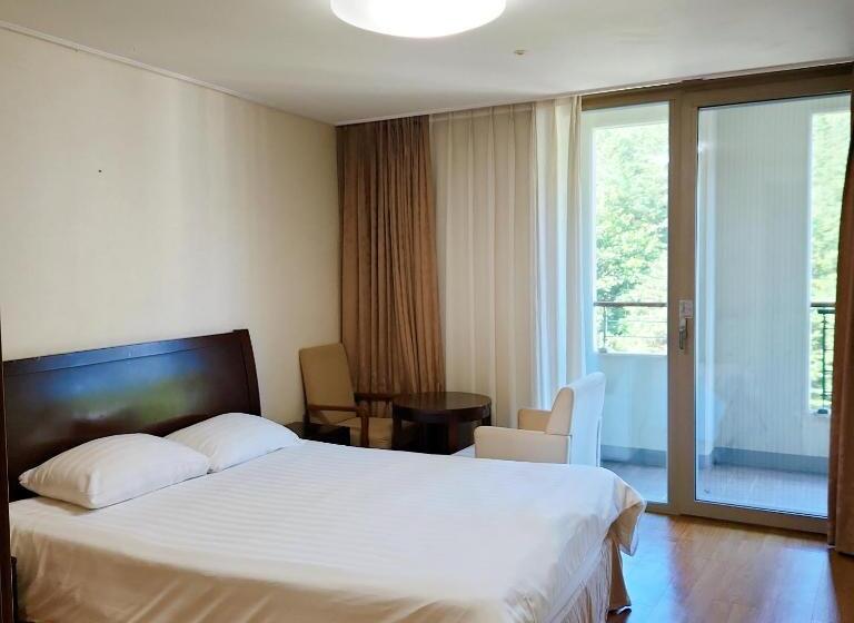 Люкс Superior, Jeongseon Mayhills Resort