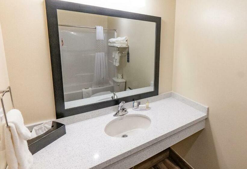 스탠다드 룸, Cobblestone Hotel & Suites Sheldon