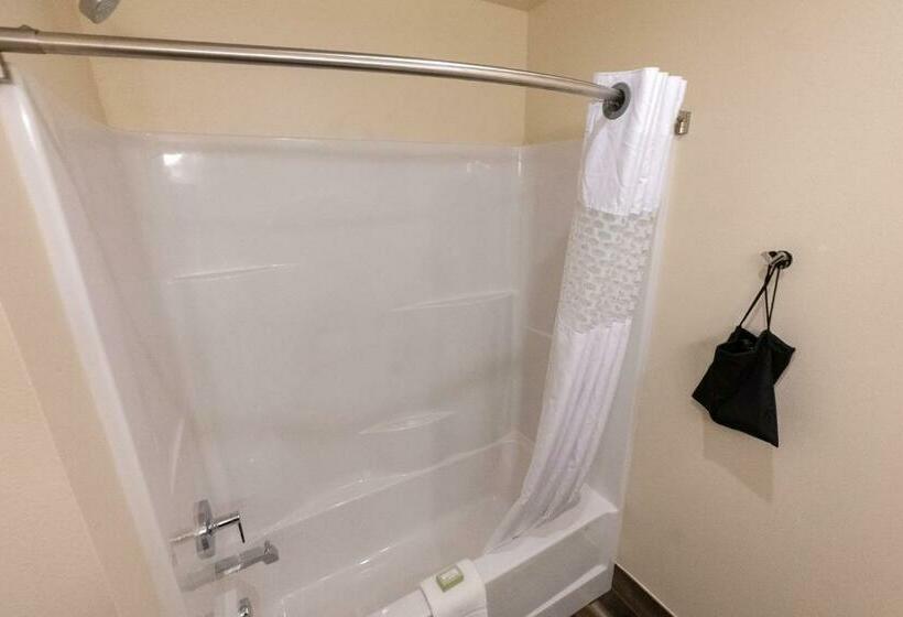 스탠다드 룸, Cobblestone Hotel & Suites Sheldon