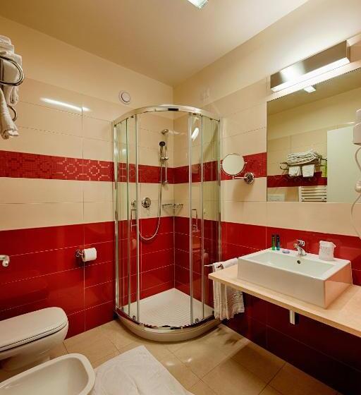 اتاق اکونومی یک تخته, Hb Aosta Hotel & Balcony Spa