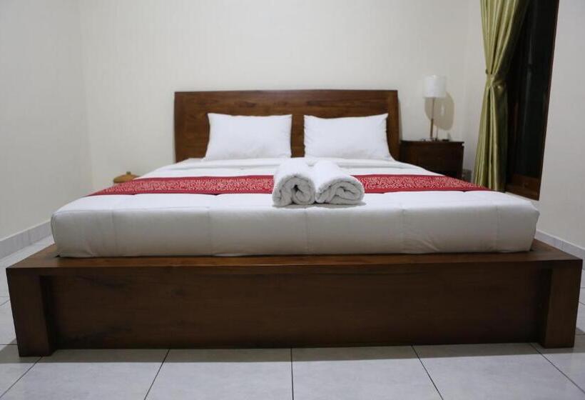 Quarto Estandar, Ancut Sari