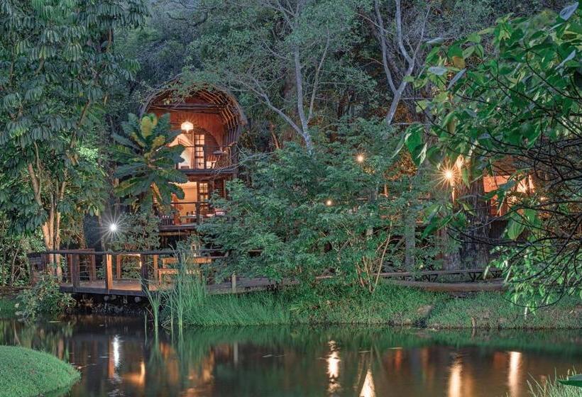 Family Suite, Serenity Mountain And Forest Lodge