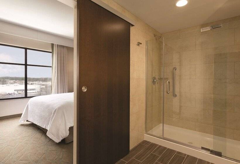 Люкс Адаптированный для Инвалидов, Embassy Suites By Hilton Akroncanton Airport
