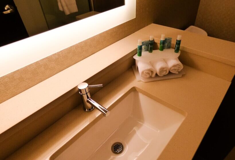 Номер Deluxe, Holiday Inn Express & Suites Plymouth   Ann Arbor Area, An Ihg