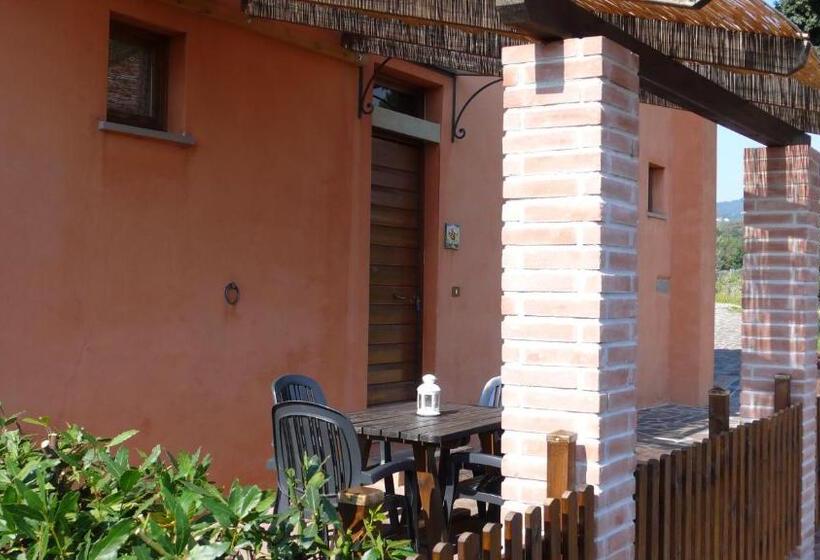 Апартаменты 1 Спальня, Agriturismo Tenuta Cantagallo
