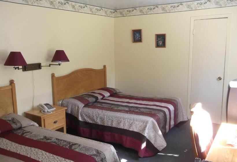 带2个双人床的标准工作室, Auberge Mountain View Inn