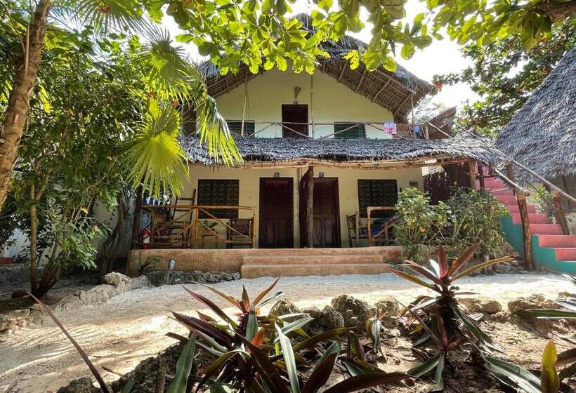 بانگلوی استاندارد, Bellevue Zanzibar