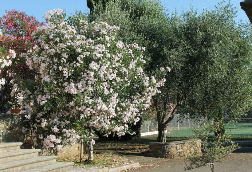 اتاق استاندارد با تراس, Chambres D Hôtes Le Clos Des Oliviers