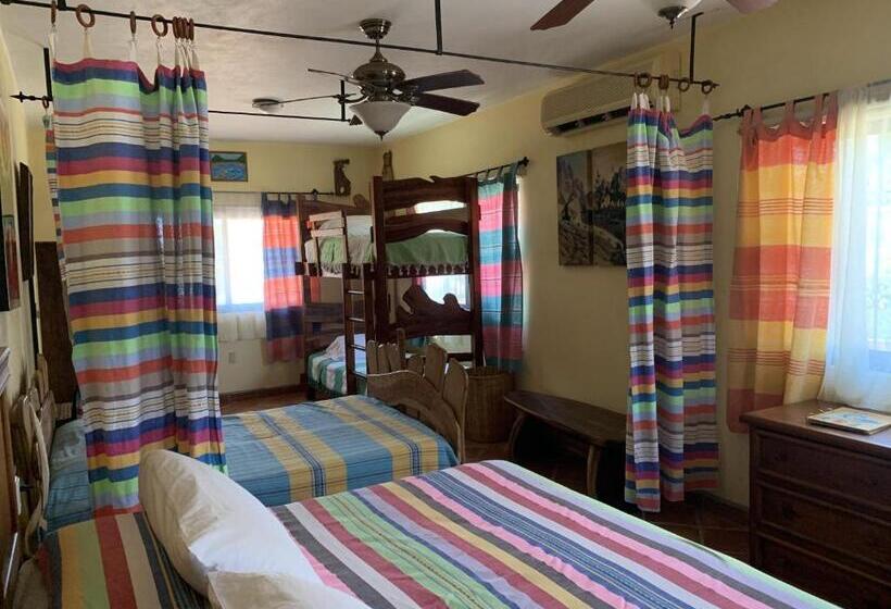 Апартаменты 1 Спальня, Casamar Suites