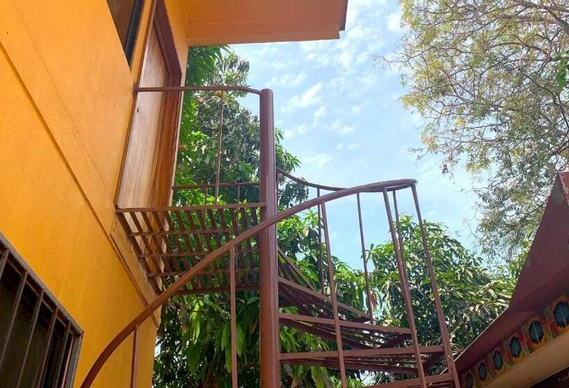 Студия Стандарт, Casamar Suites
