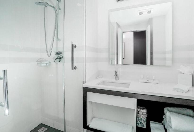 Семейный Номер Superior, Courtyard By Marriott Long Island City/new York Manhattan View