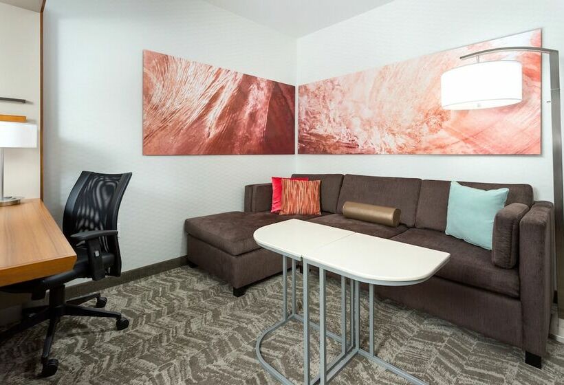 חדר סטודיו סטנדרד, Springhill Suites By Marriott San Diego Mission Valley