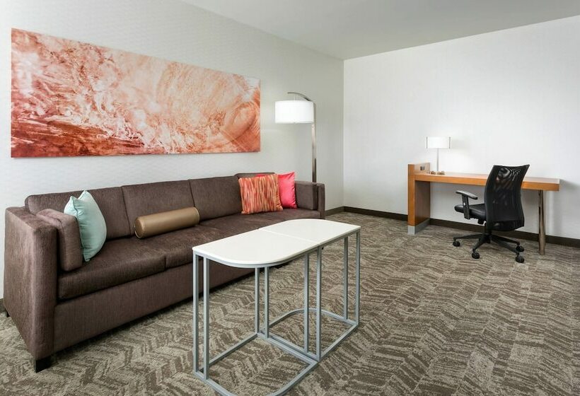 חדר סטודיו סטנדרד, Springhill Suites By Marriott San Diego Mission Valley