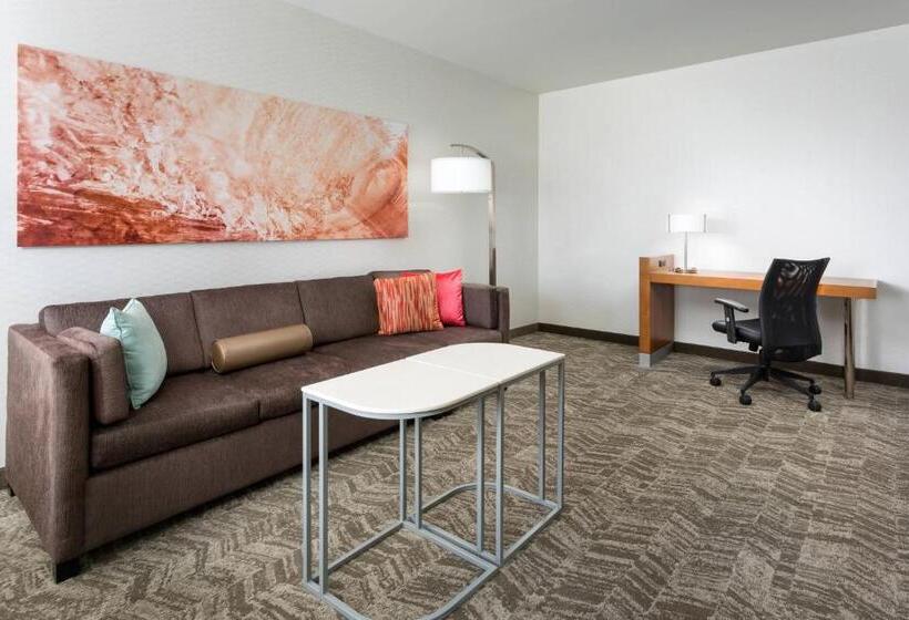סטודיו סטנדרט, מיטה זוגית, Springhill Suites By Marriott San Diego Mission Valley