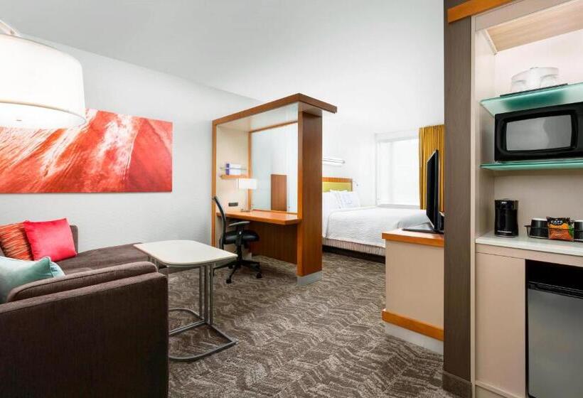 סטודיו סטנדרט, מיטה זוגית, Springhill Suites By Marriott San Diego Mission Valley