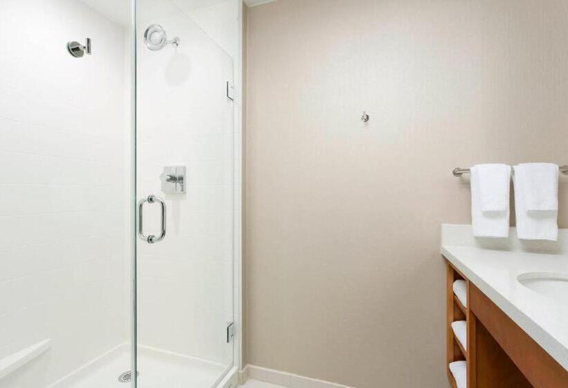 Студия Стандарт, Springhill Suites By Marriott San Diego Mission Valley