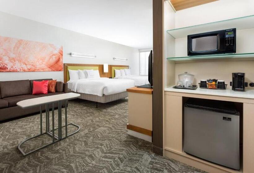 Студия Стандарт, Springhill Suites By Marriott San Diego Mission Valley