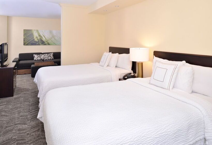 Студия Стандарт, Springhill Suites By Marriott San Diego Mission Valley