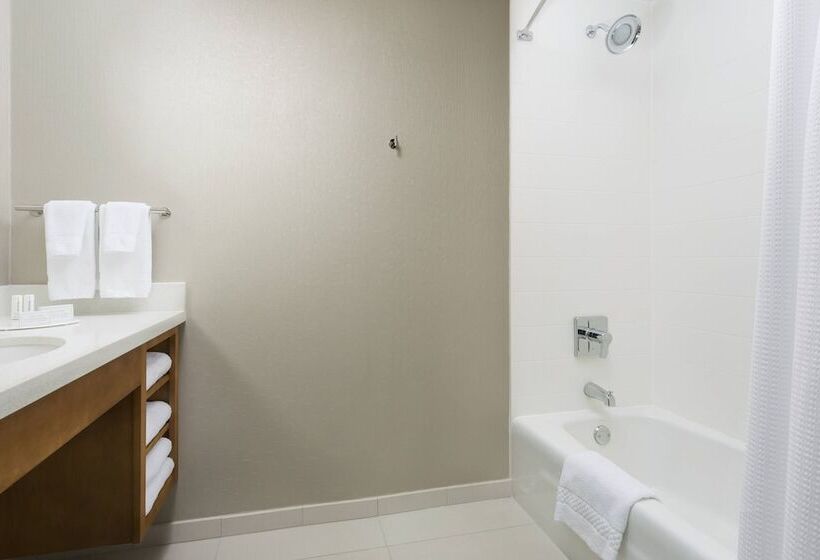 Студия Стандарт, Springhill Suites By Marriott San Diego Mission Valley