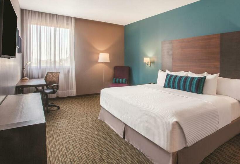 带大床的标准间, La Quinta By Wyndham Aguascalientes
