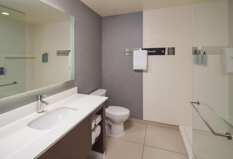Студио Стандарт Кровать Кинг, Residence Inn By Marriott Philadelphia Airport