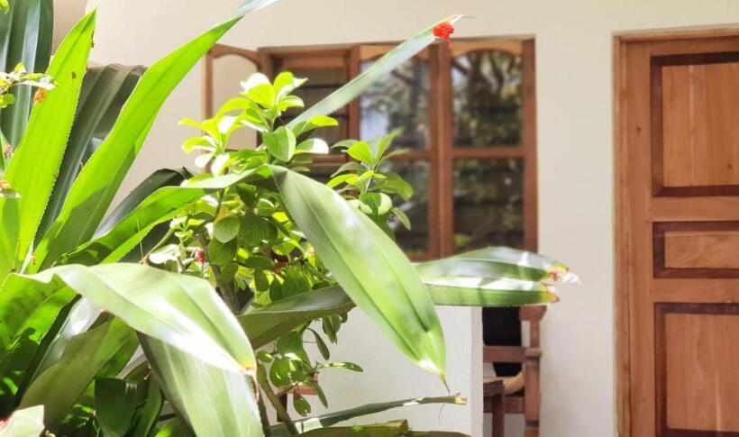 Номер Стандарт Трехместный, Bahati Villa