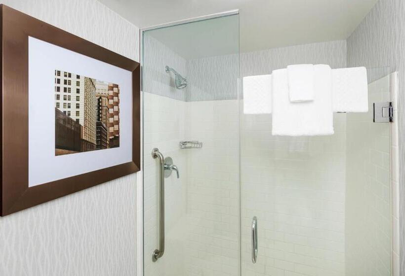 Студия Стандарт Вид на Город, Springhill Suites Chicago Downtown/river North